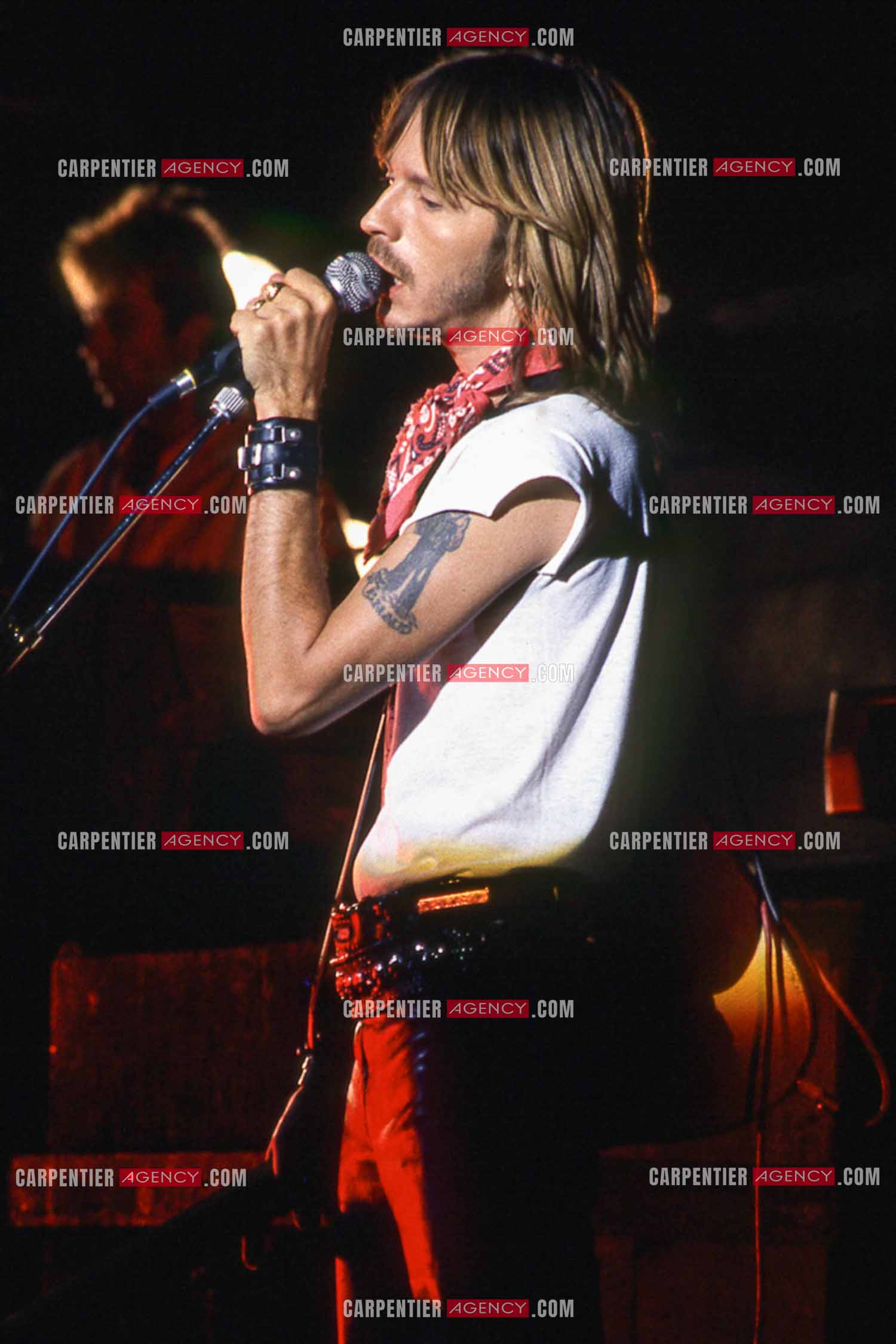 Le chanteur Renaud Séchan en concert.