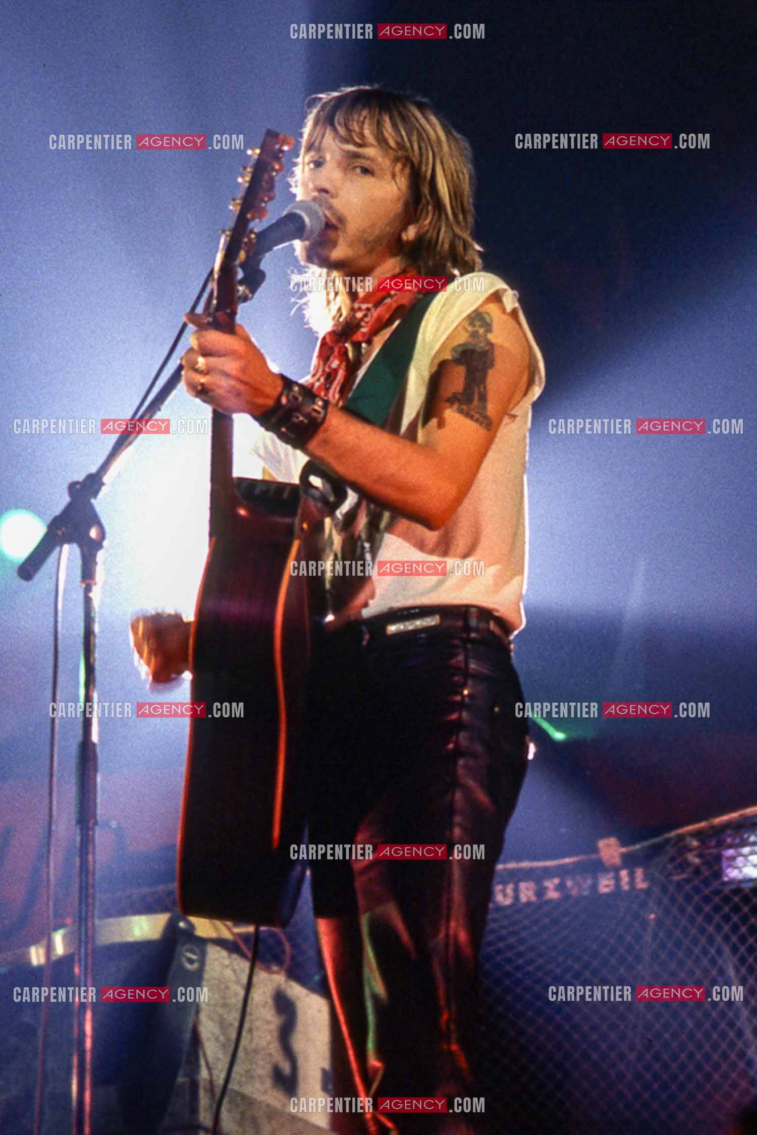 Le chanteur Renaud Séchan en concert.