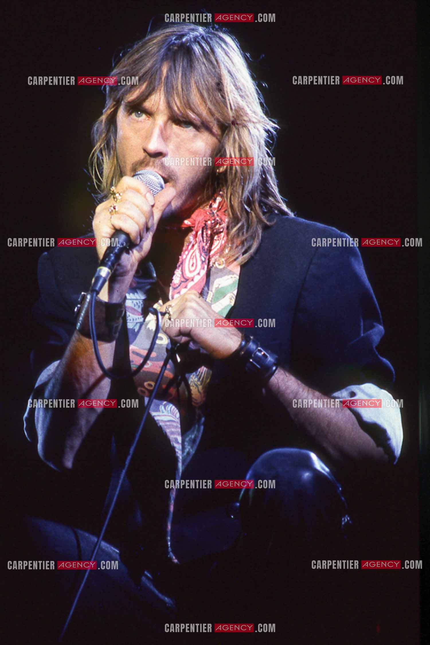 Le chanteur Renaud Séchan en concert.
