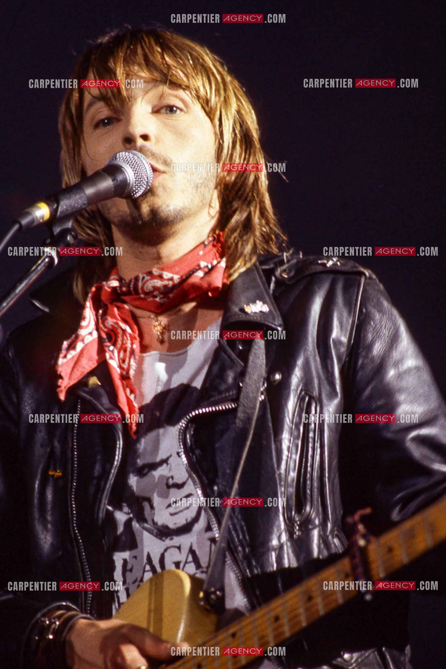 Le chanteur Renaud Séchan en concert.