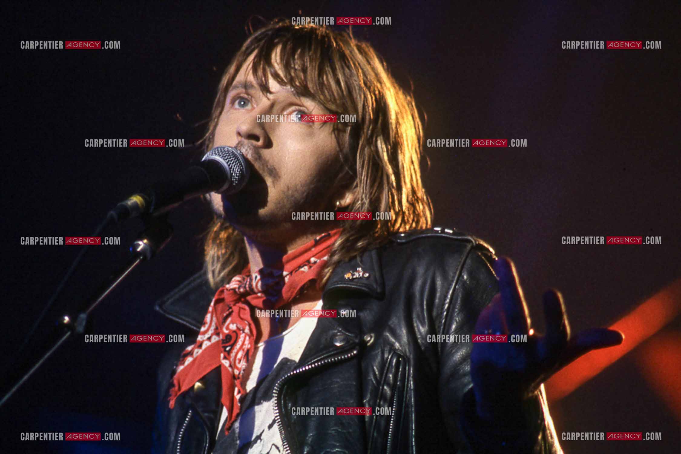 Le chanteur Renaud Séchan en concert.