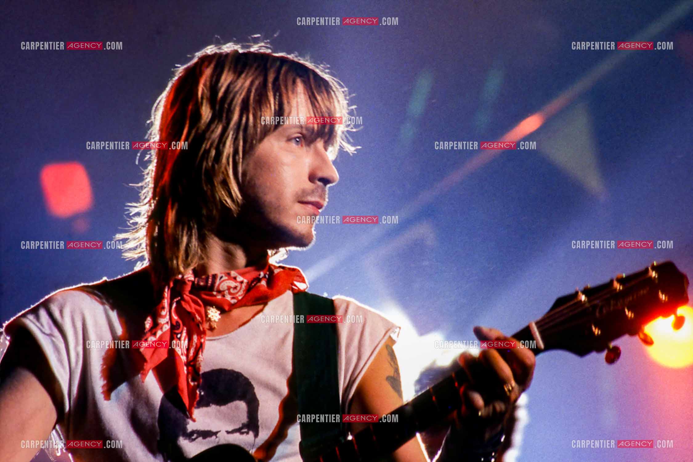 Le chanteur Renaud Séchan en concert.