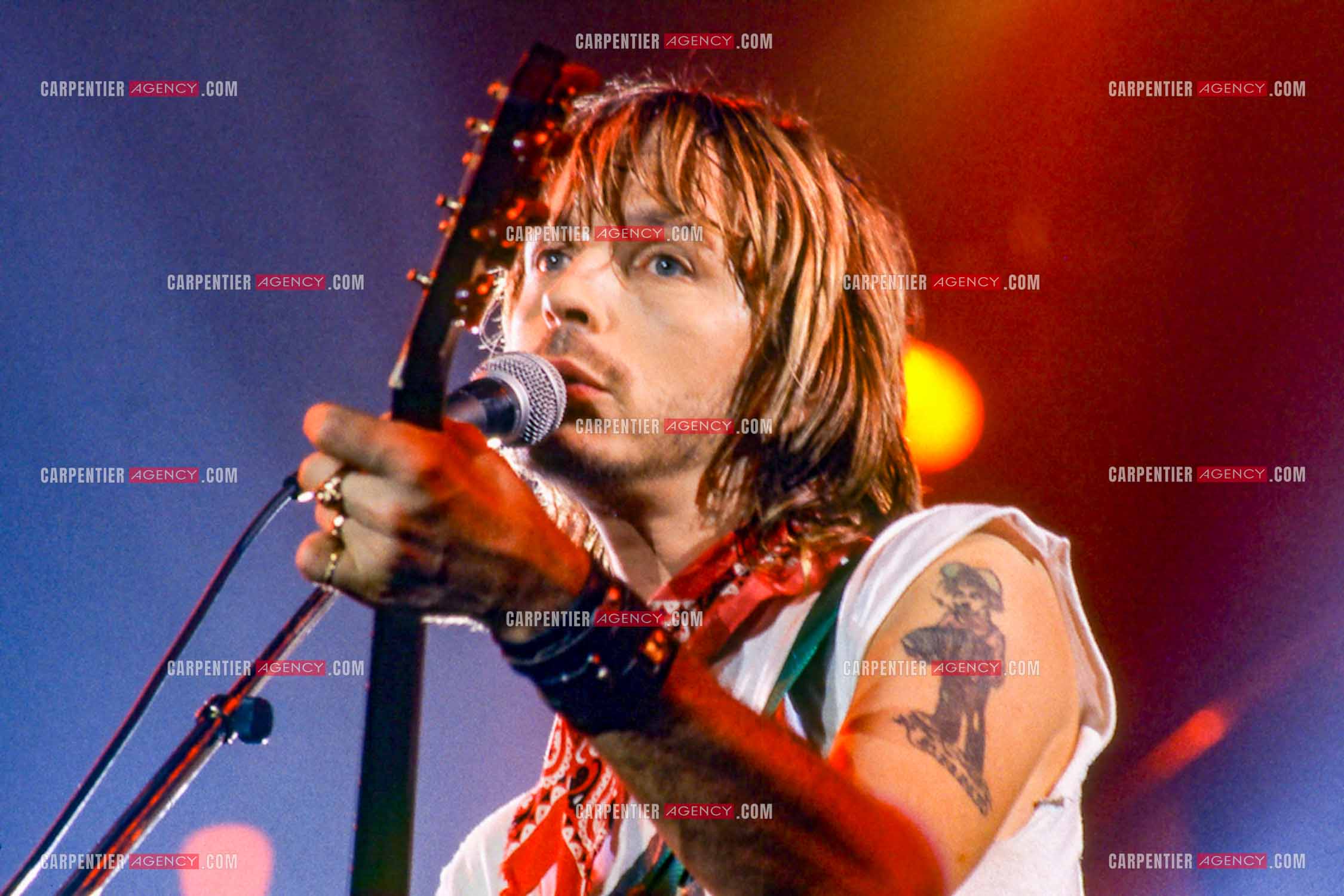 Le chanteur Renaud Séchan en concert.