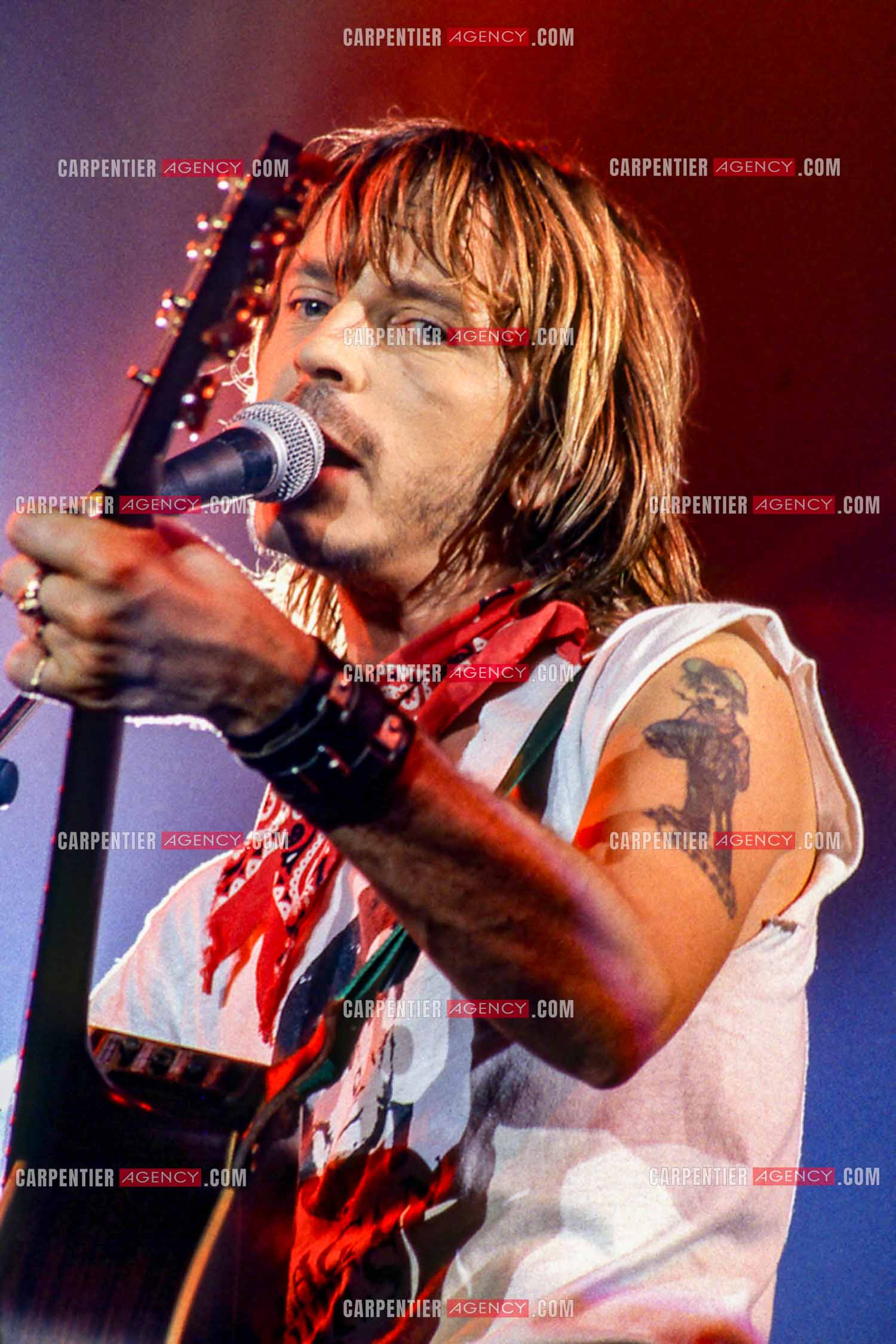 Le chanteur Renaud Séchan en concert.