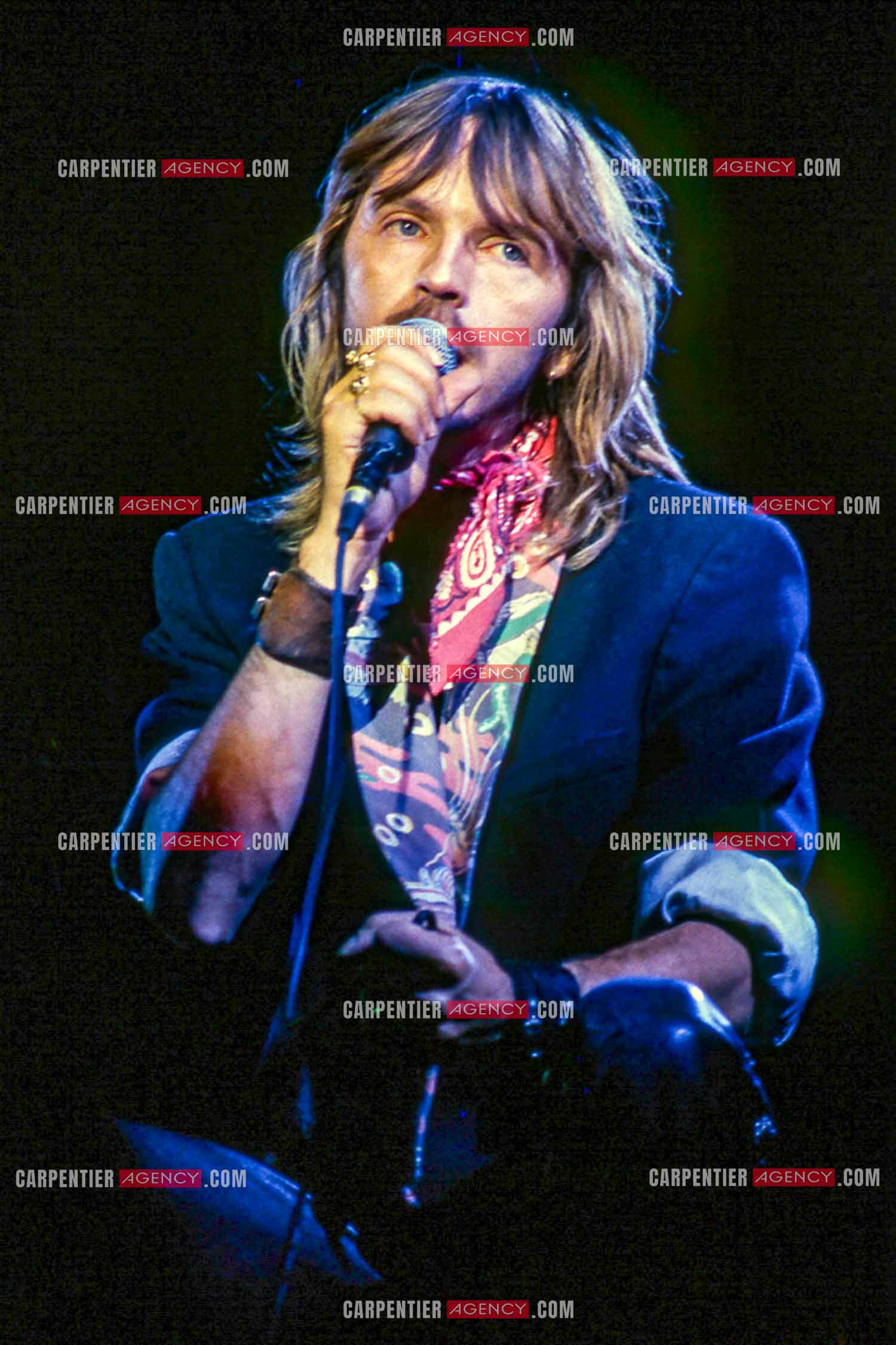 Le chanteur Renaud Séchan en concert.