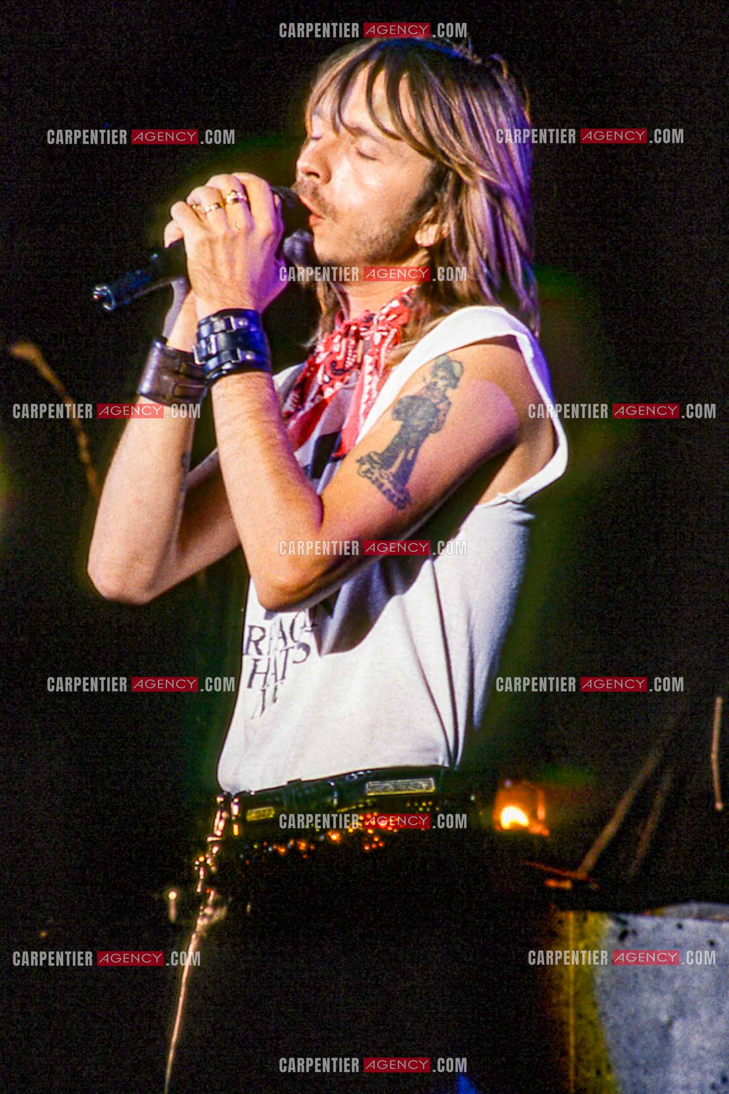 Le chanteur Renaud Séchan en concert.