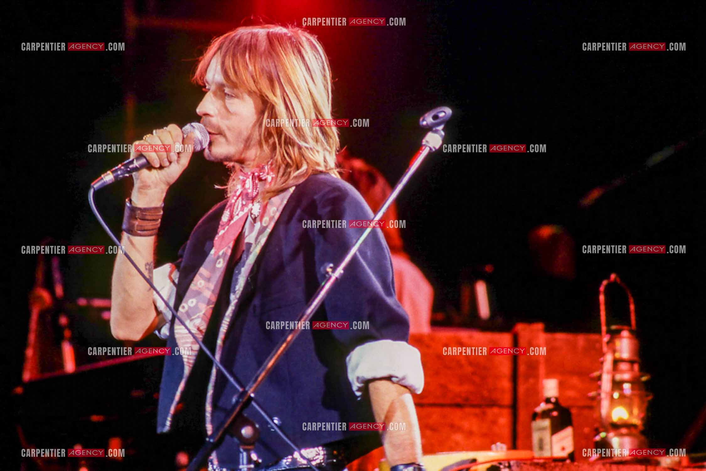 Le chanteur Renaud Séchan en concert.