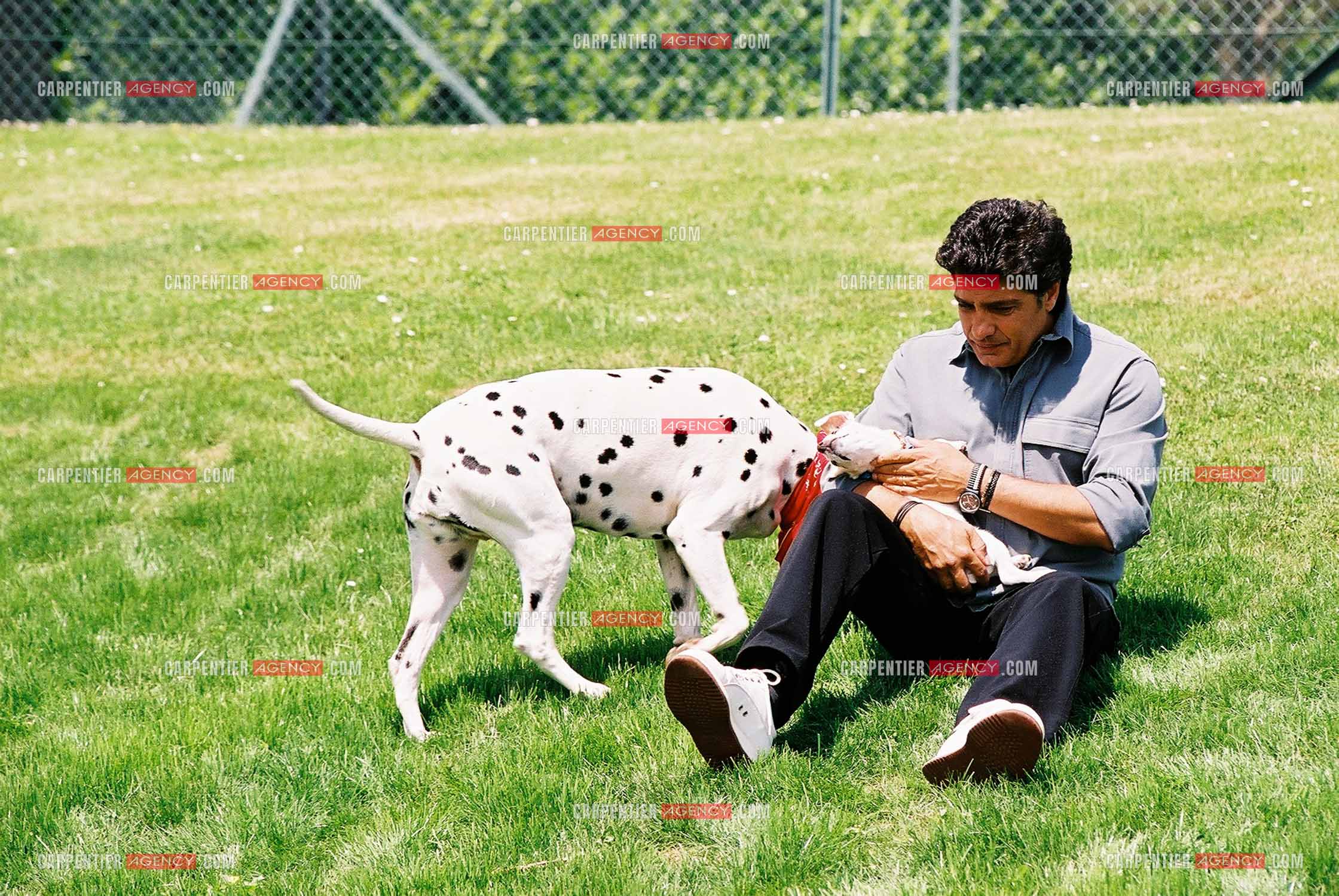Le chanteur Frédéric François chez lui en Belgique avec ses deux chiens, une Dalmatienne nommée Lady et une chienne Jack Ressel nommée Bichette.  ( Exclusif )