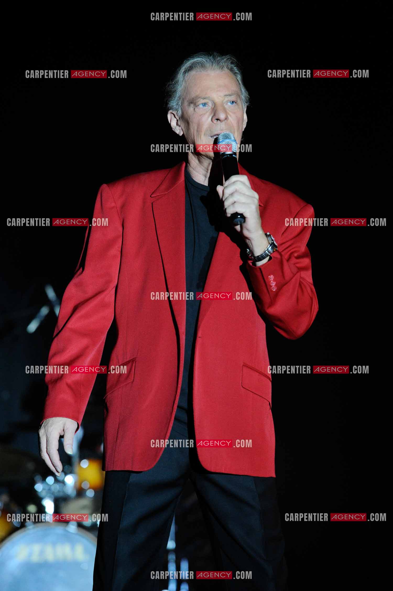 Le chanteur Herbert Léonard en concert en 2011.    ( Exclusif )