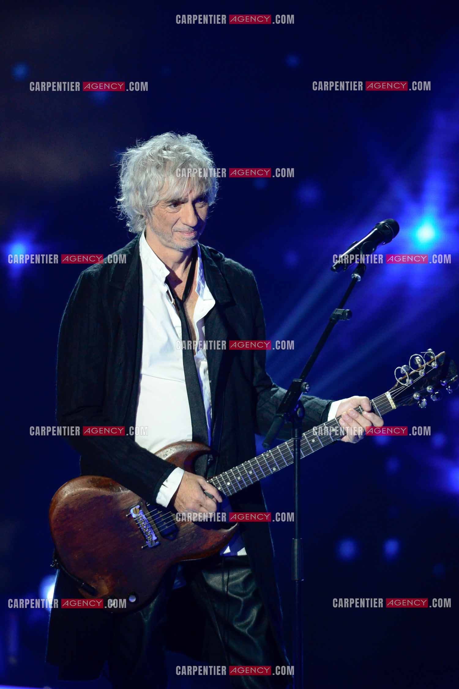 Le chanteur Louis Bertignac en concert.