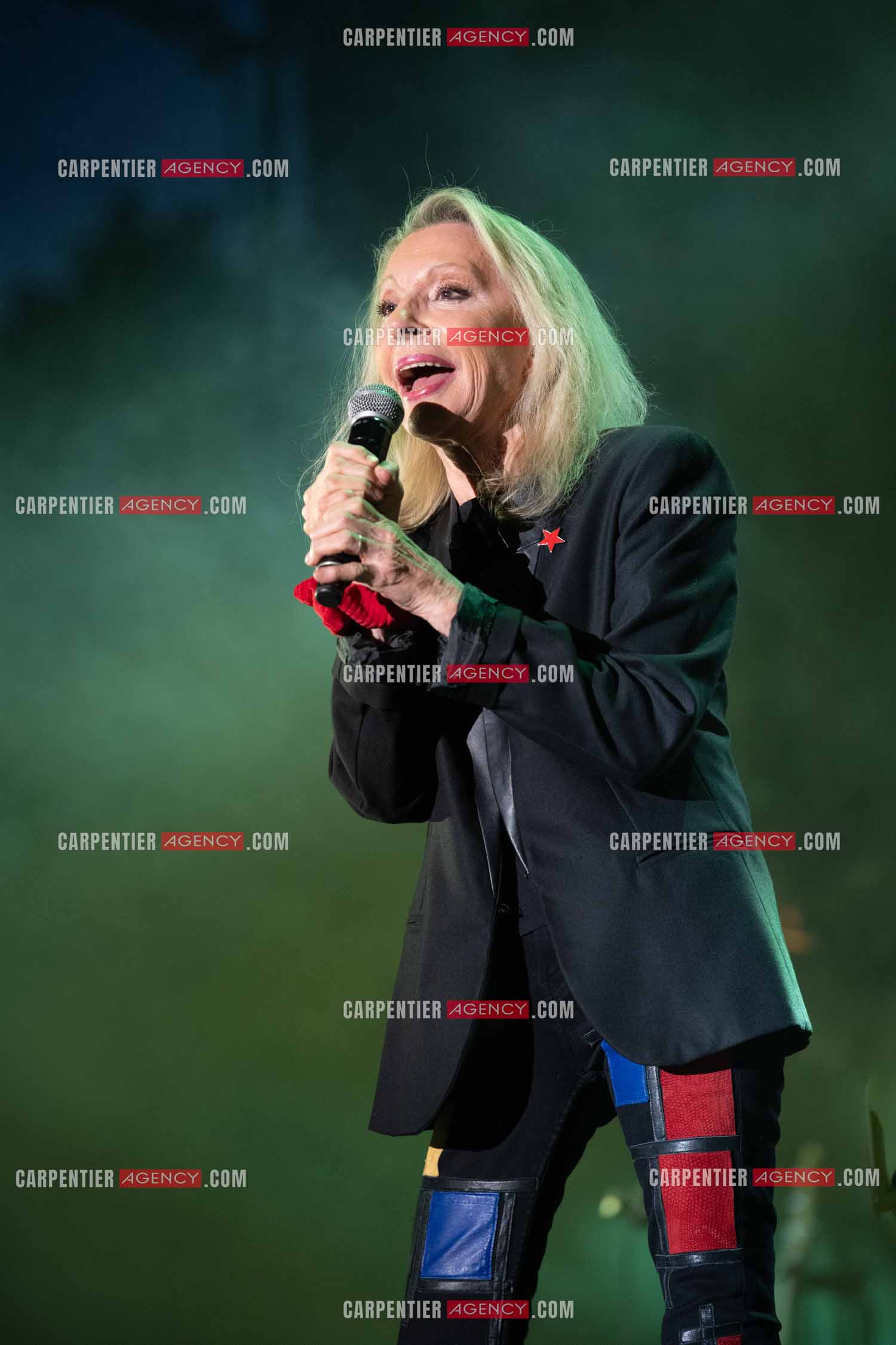 La chanteuse Véronique Sanson en concert lors du festival d'été de Soliès Pont le 17 juillet 2021.  ( Exclusif )