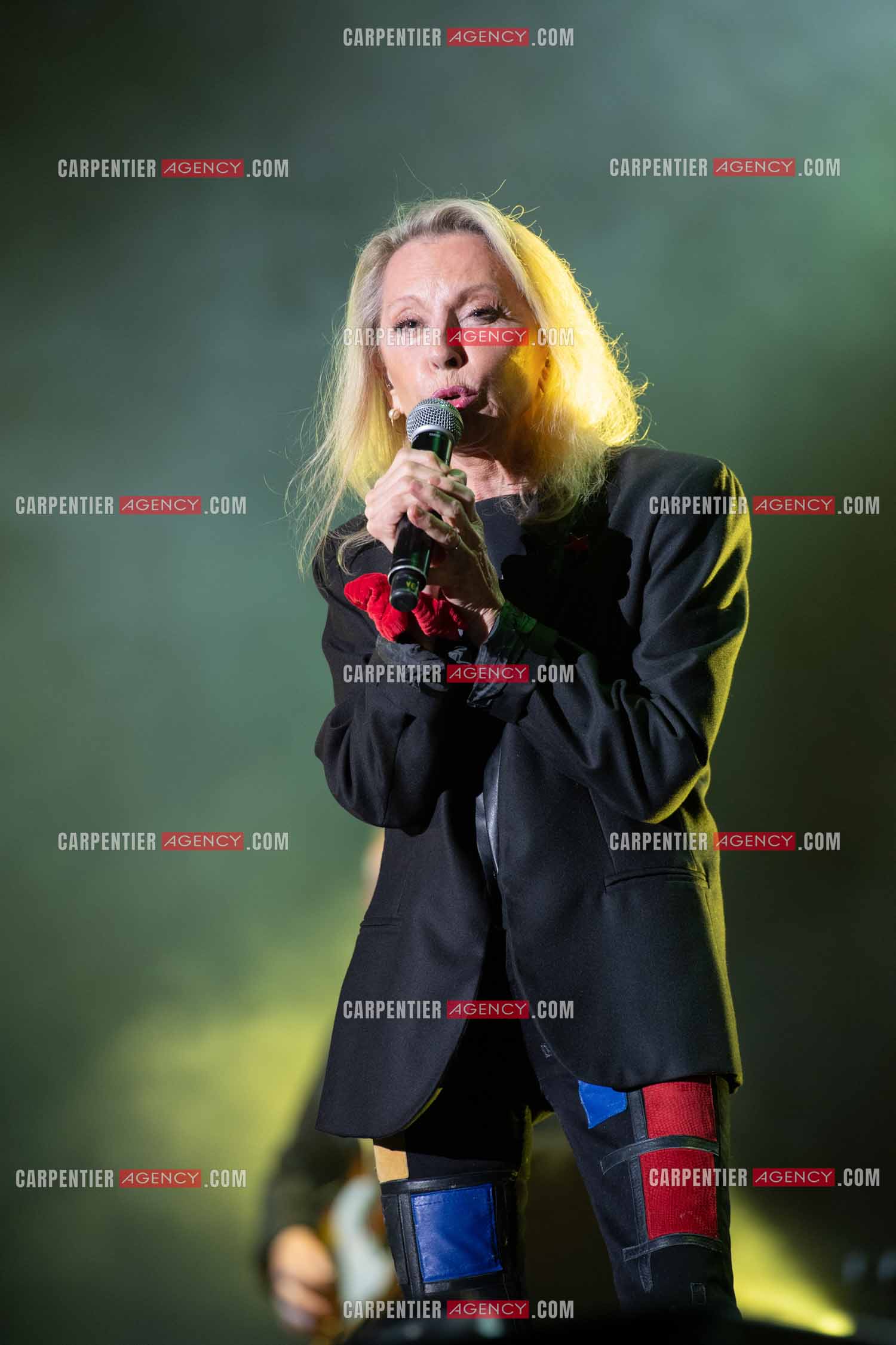 La chanteuse Véronique Sanson en concert lors du festival d'été de Soliès Pont le 17 juillet 2021.  ( Exclusif )