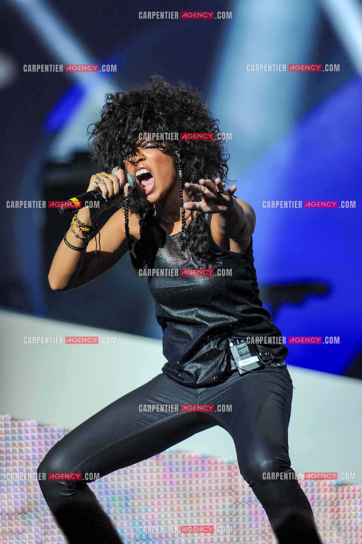 28e cérémonie des Victoires de la musique le 8 février 2013 au Zénith de Paris. Le groupe Shaka Ponk reçoit la victoire du vidéo-clip de l'année, du spectacle musical, de la tournée et du concert de l'année.