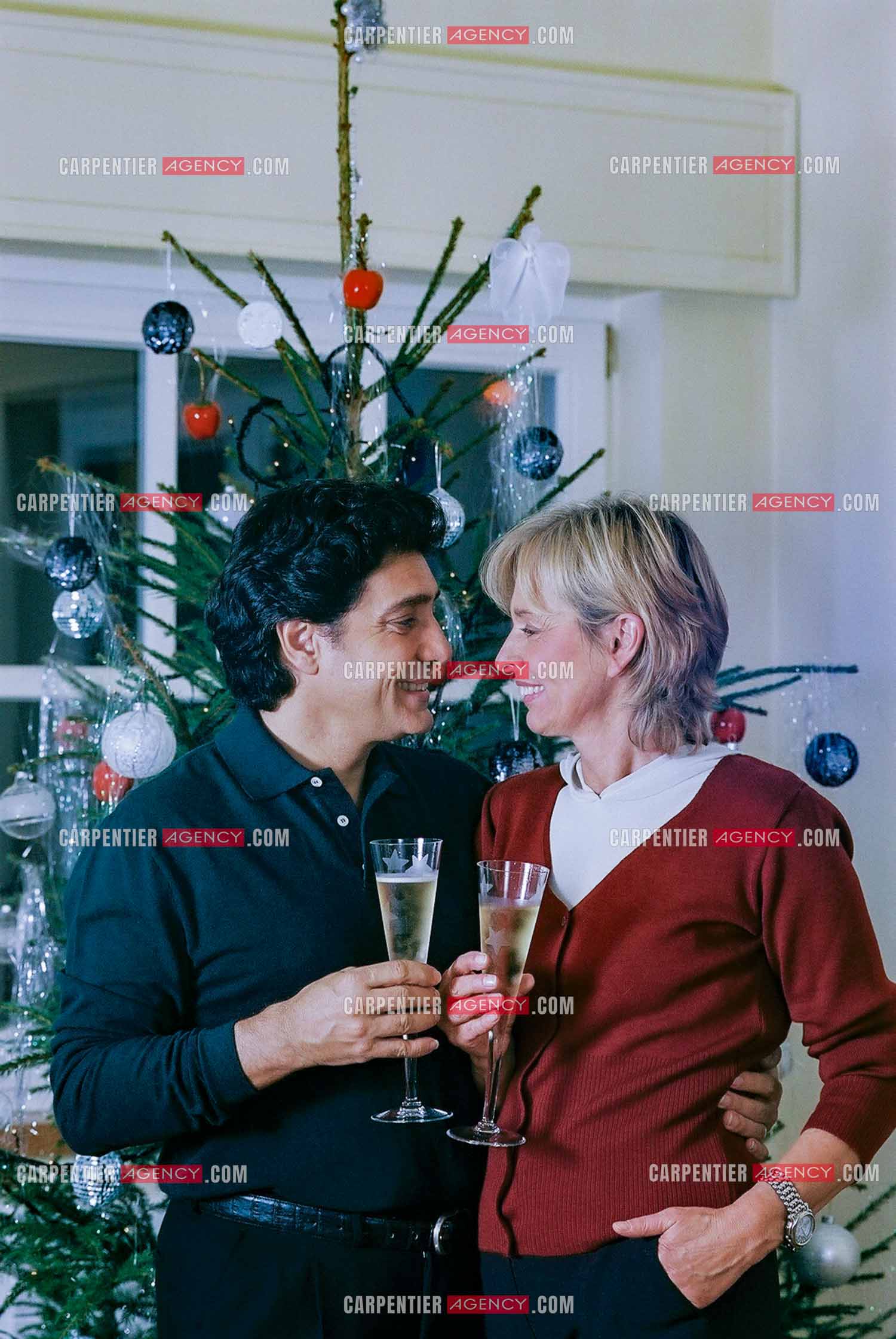 Le chanteur Frédéric François chez lui en Belgique se prépare à fêter Noël en famille autour du sapin. Frédéric et sa femme Monique trinquent pour annoncer les fêtes.  ( Exclusif )