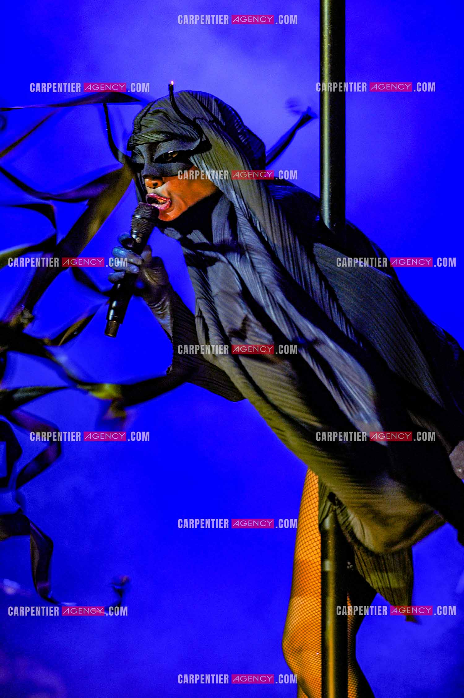 La chanteuse Grace Jones en concert au Grand Rex à Paris le 23 mars 2009.  ( Exclusif )
