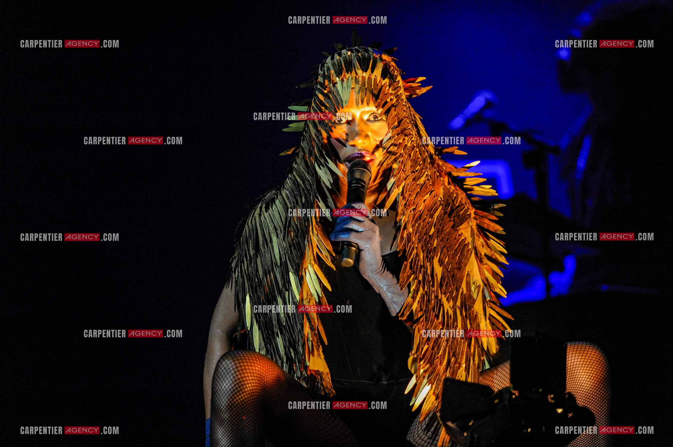 La chanteuse Grace Jones en concert au Grand Rex à Paris le 23 mars 2009.  ( Exclusif )