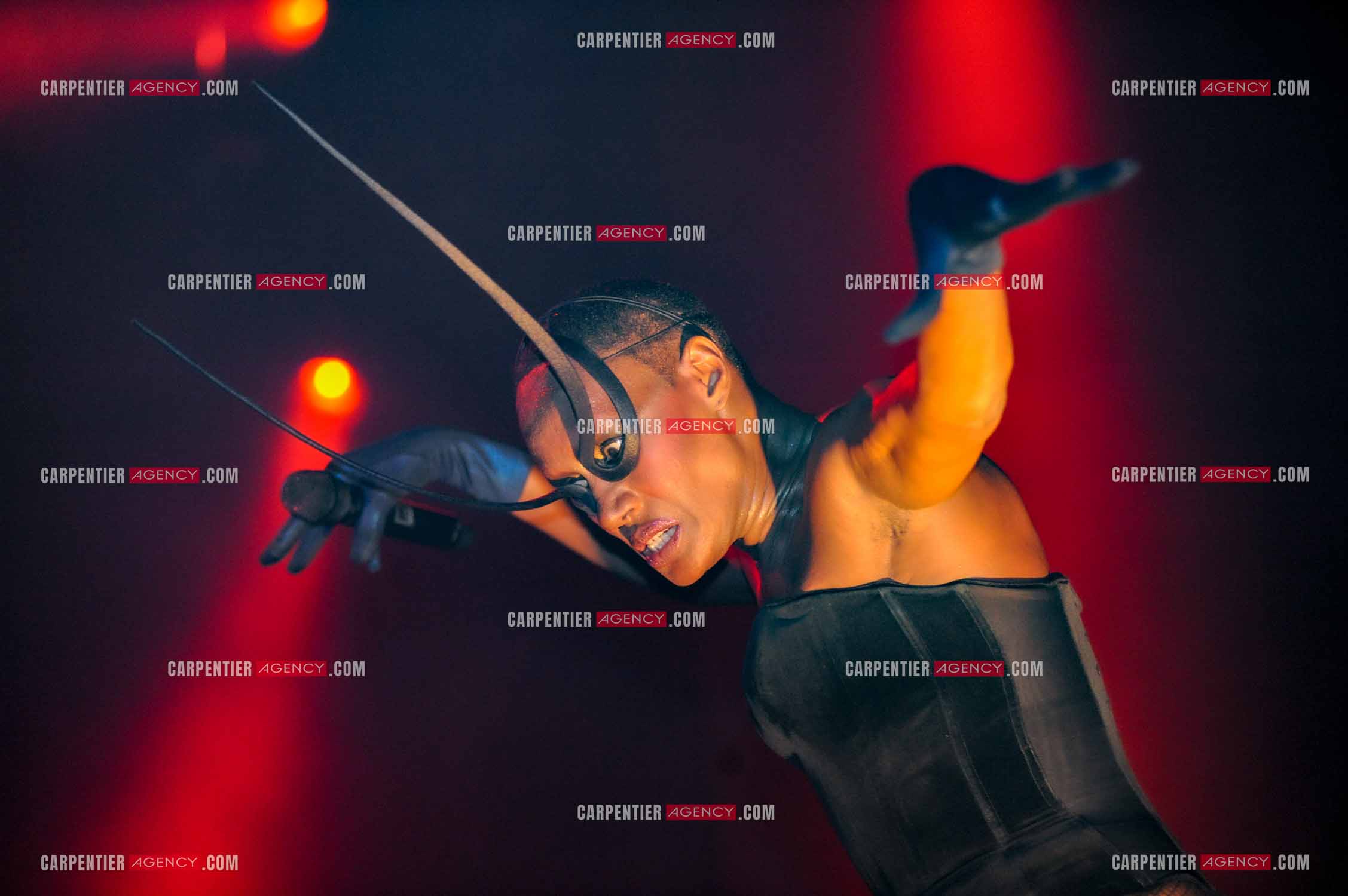 La chanteuse Grace Jones en concert au Grand Rex à Paris le 23 mars 2009.  ( Exclusif )