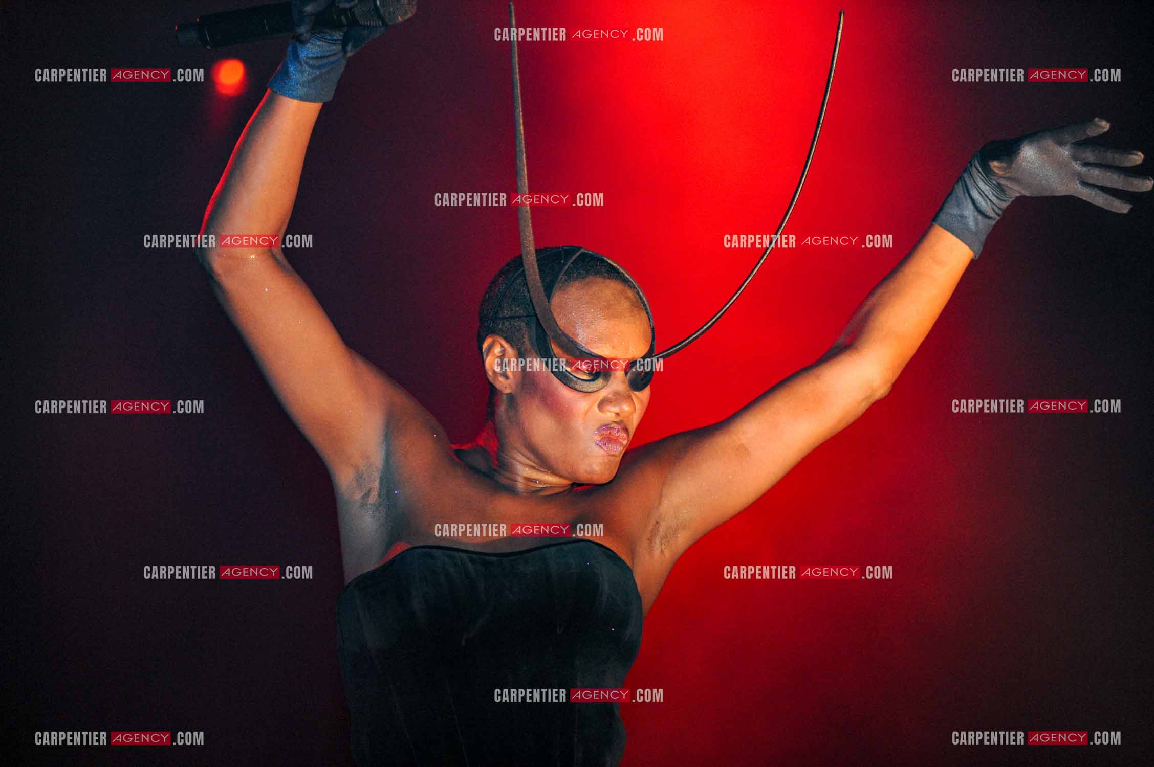 La chanteuse Grace Jones en concert au Grand Rex à Paris le 23 mars 2009.  ( Exclusif )