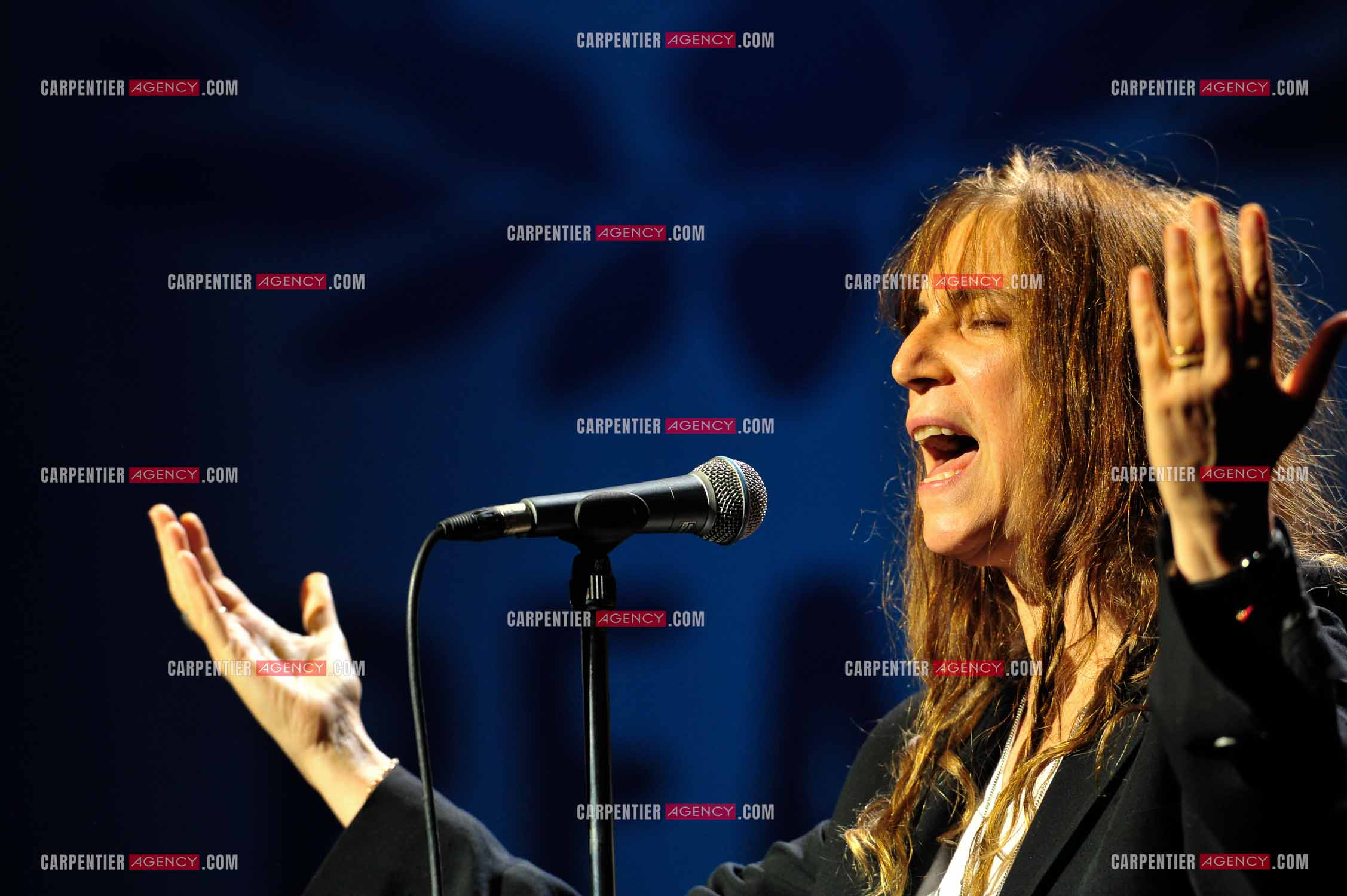 La chanteuse Patti Smith en concert au Zénith de Paris pour la Paix.