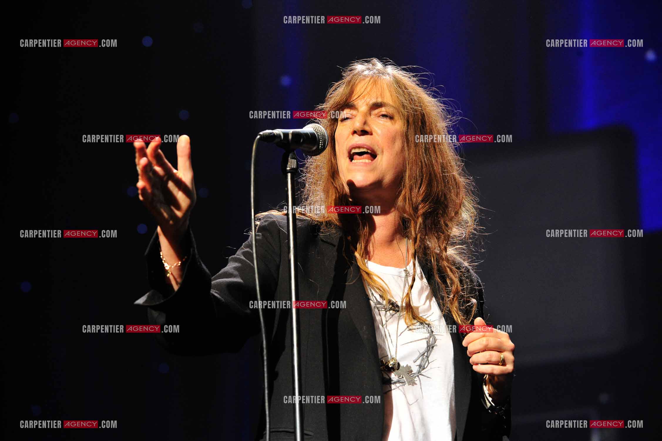 La chanteuse Patti Smith en concert au Zénith de Paris pour la Paix.