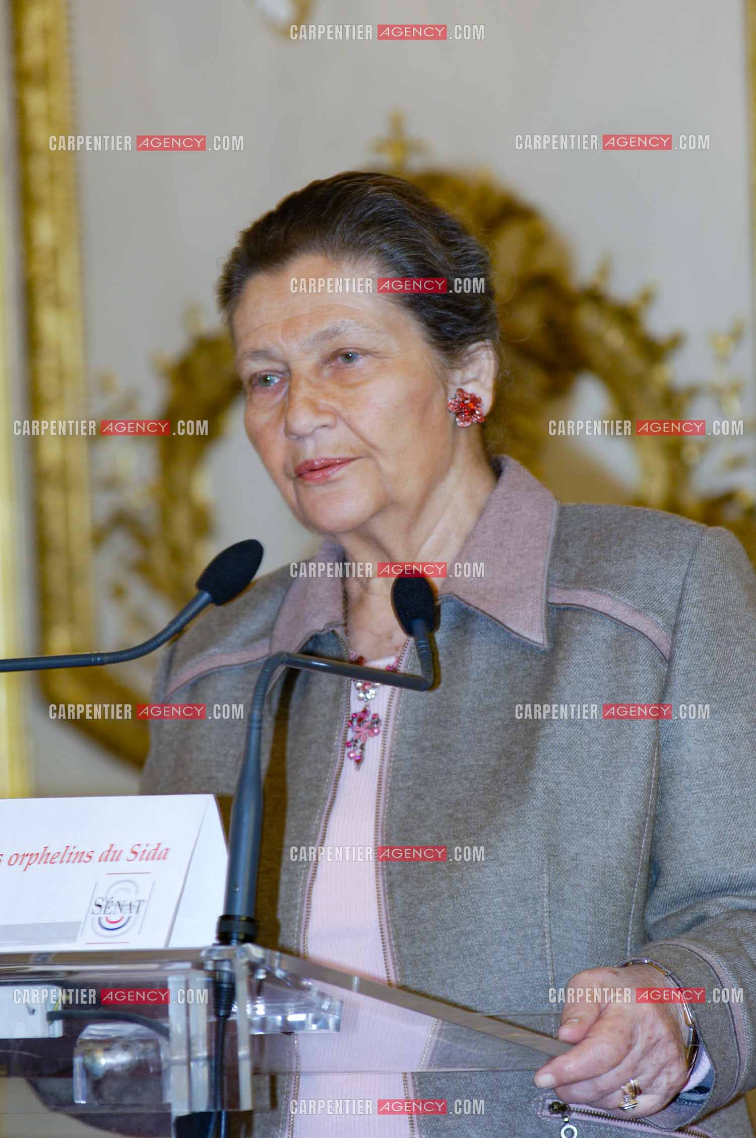 Journée mondiale des orphelins du sida présidée par Madame Simone Veil et Madame Albina du Boisrouvray.          ( Exclusif )