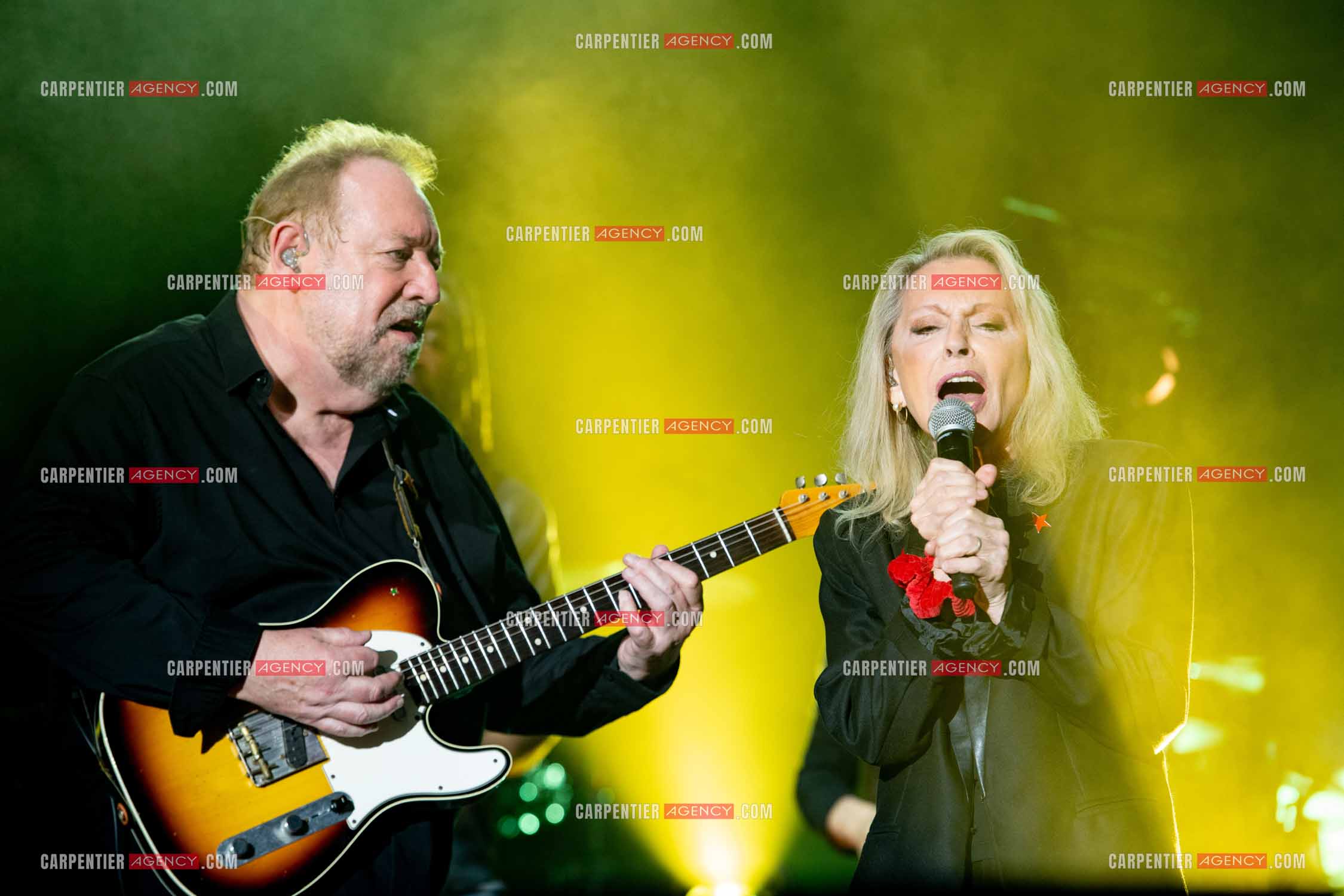 La chanteuse Véronique Sanson en concert lors du festival d'été de Soliès Pont le 17 juillet 2021.  ( Exclusif )