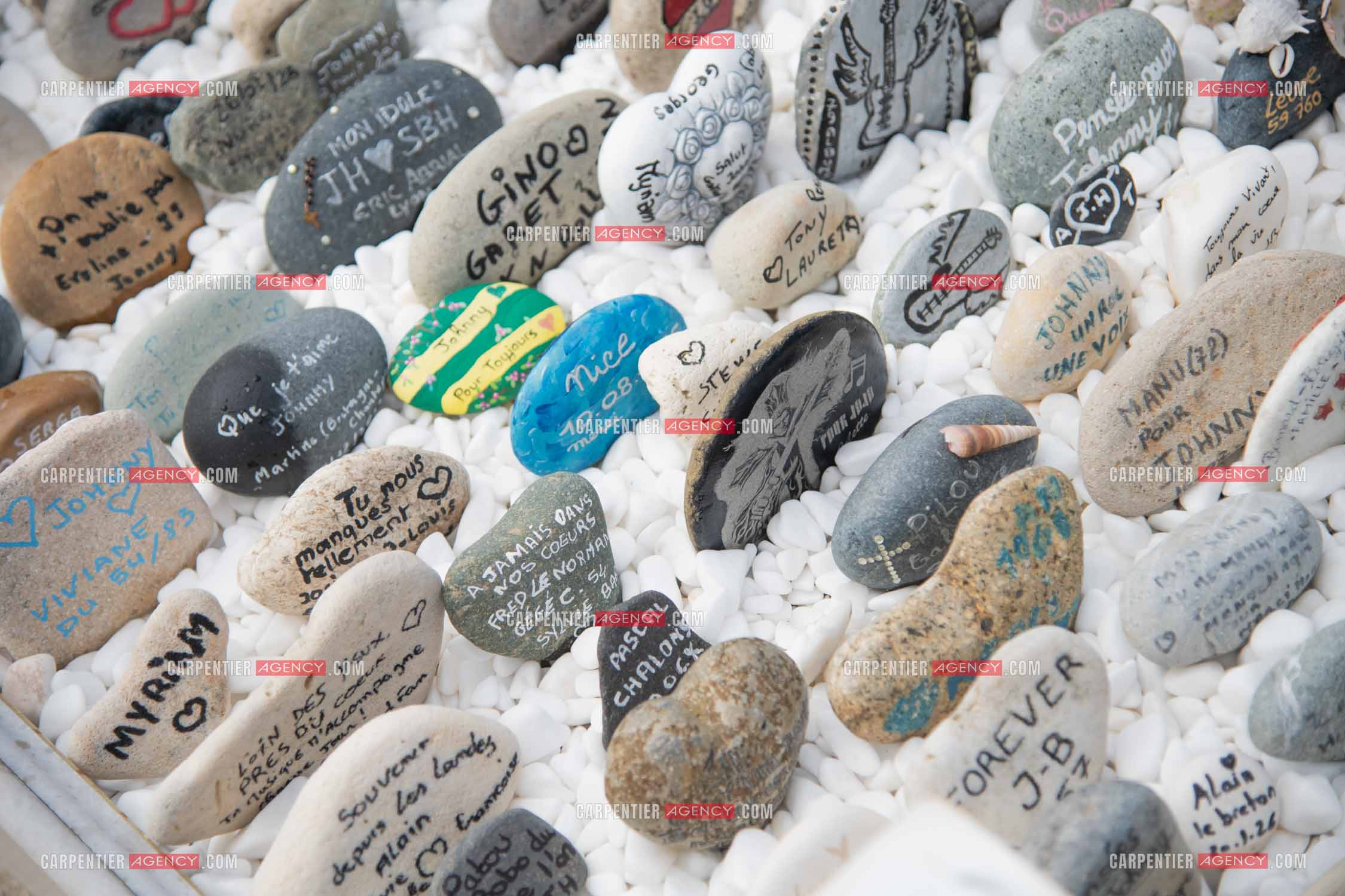 Photo J-HAL-2026-1809