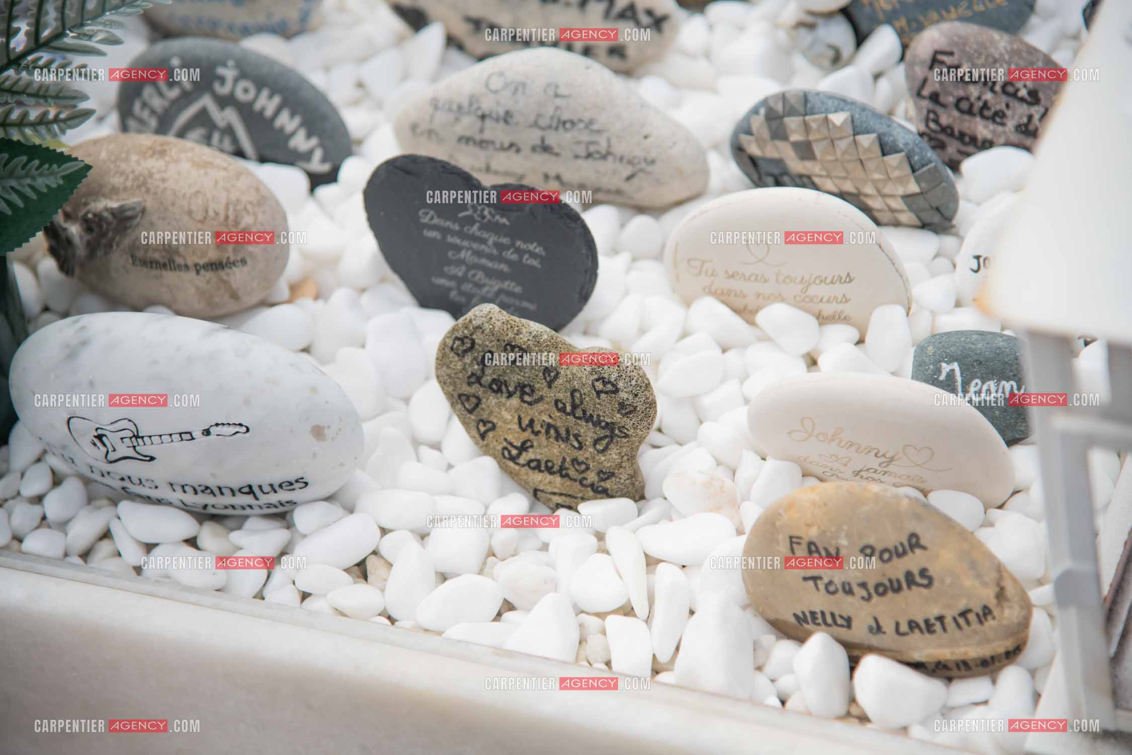 Photo J-HAL-2026-1805